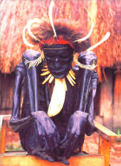 Mumi Wamena-Papua